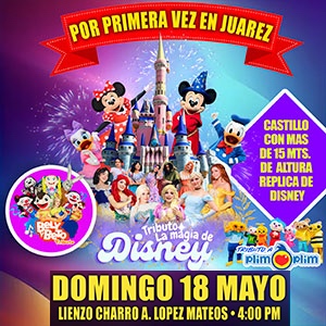 JRZ_TRIBUTO A DISNEY