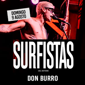 CHH_LOS SURFISTAS DEL SISTEMA