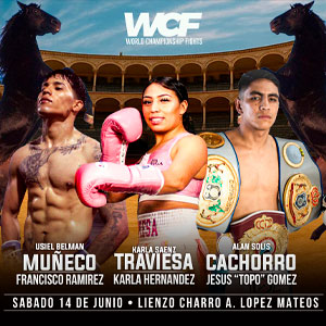 JRZ_WCF-MUÑECO VS TYSON
