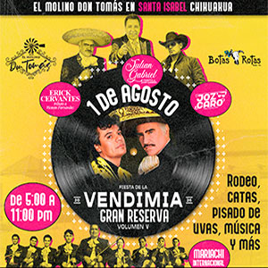 CHH_FIESTA DE LA VENDIMIA GRAN RESERVA VOL V